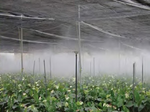 MICROPULVERIZACION en Leganes - Foto3