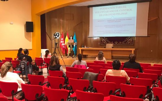 Legans pone en marcha un Plan Municipal de Gestin tica de las Colonias Felinas